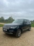 2015 Range Rover Autobiography - (Norfolk)