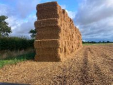 2024 Wheat Straw - (Norfolk)