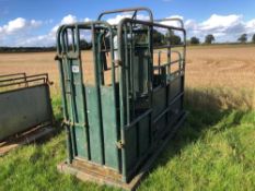 Tubar Mark II metal cattle crush with weigh cell