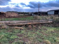 Quantity wooden telegraph poles