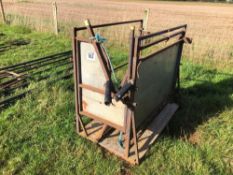 Metal calf crush