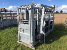Bateman galvanised cattle crush with head scoop and rear sliding gate