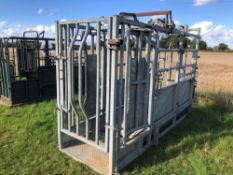 IAE galvanised cattle crush complete with foot trimming blocks