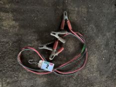 Pair jump leads