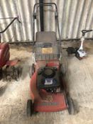 Mountfield pedestrian mower