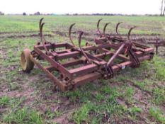 Doubleday 14ft heavy duty pig tail cultivator, linkage mounted