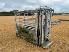 Rancher Squeeze Crush With Bateman Headstock