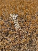 Qty. Electric Fence Stakes