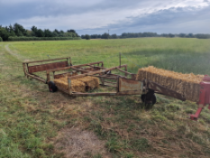 Cookes Flat Eight Sledge