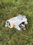 Quantity caster wheels