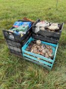 Quantity bearings and spares