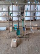 Quantity spades, forks, brushes and scraper