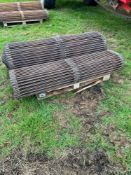 GT Digger Webs And Main