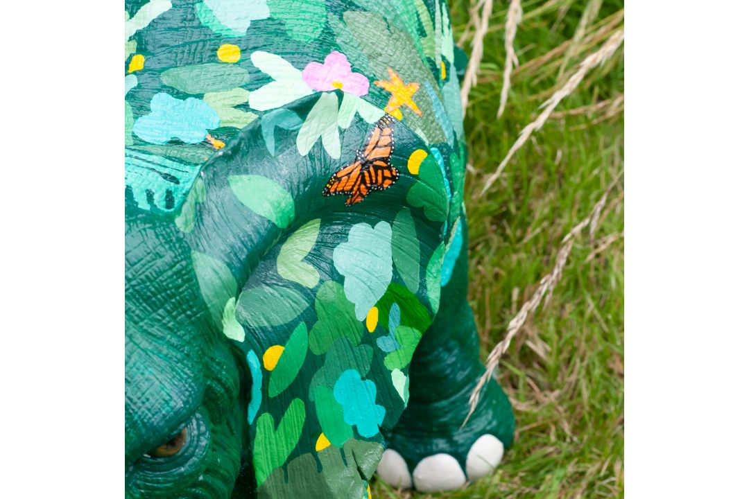 Fauna - Image 2 of 2