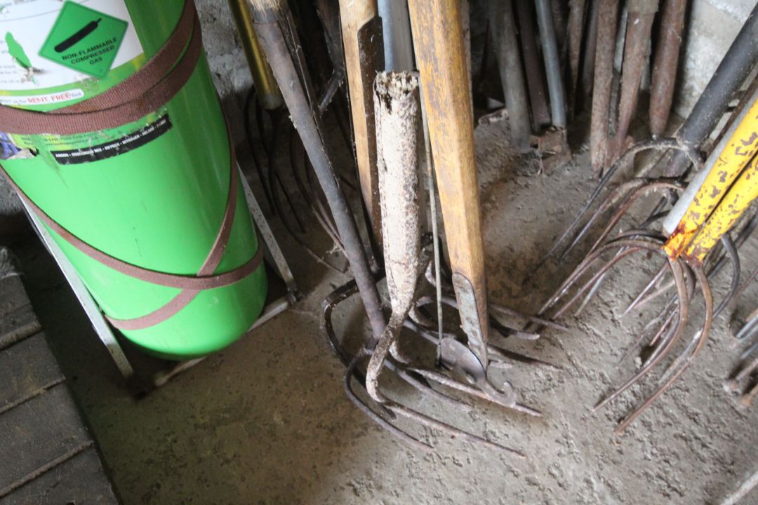 Quantity of long handled pitch forks and cromes. NO VAT - Image 5 of 5