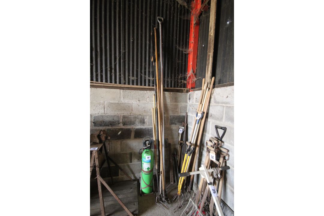 Quantity of long handled pitch forks and cromes. NO VAT - Image 1 of 5