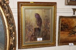 Barrett, acrylic study 'Barn Owl Dusk'