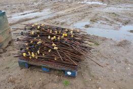 Qty 5` steel fence posts as lotted