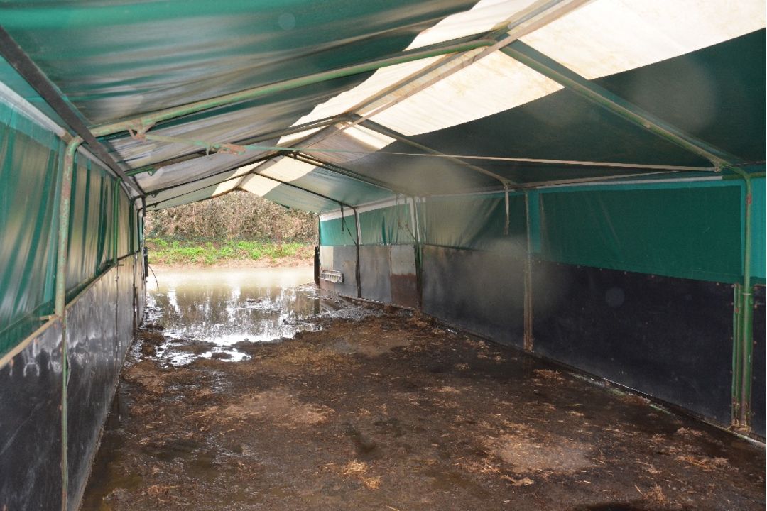 Pig tent 40` x 16` overall comprising 5 bays constructed of 8` sections comes with drinkers (Buyer - Image 3 of 3