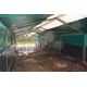 Pig tent 40` x 16` overall comprising 5 bays constructed of 8` sections comes with drinkers (Buyer - Image 3 of 3