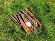 Quantity of Maschio Points