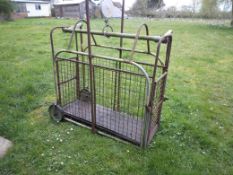 Weigh Crate for Lambs/Pigs