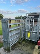 Cattle Crush and Entry Attachment