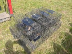 10 x Live Animal Rabbit Traps