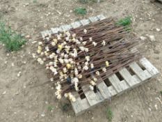 Metal fence posts with insulators (4 Pallets)