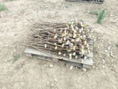 Metal fence posts with insulators (3 Pallets)