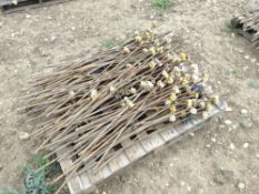 Metal fence posts with insulators (4 Pallets)