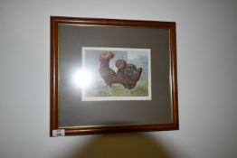 *Framed Print of Gold Spangled Polish