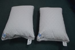 *Two Sealy Pillows