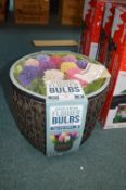 *Pre Planted Flower Bulb Basket