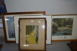 Framed Pictures and Prints