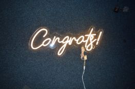 *Two Neon Effect LED Light