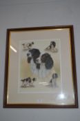Framed Print of a Spaniel