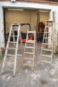 Three Assorted Wooden Ladders