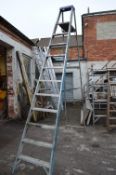 Eleven Tread Platform Ladder