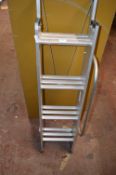 Set of Loft Ladders