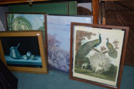 Framed Pictures and Prints