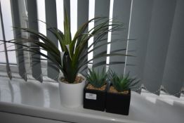 *Three Artificial Plants (Location: 64 King Edward St, Grimsby, DN31 3JP, Viewing Tuesday 26th, 10am