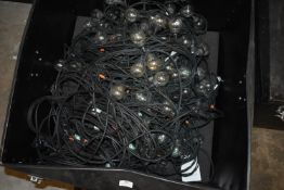 *Flight case Containing Festoon Lighting