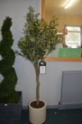 *Lifeline 6ft Faux Olive Tree