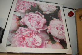 *Floral Print 80cm x 80cm