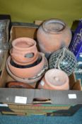 Terracotta Planters etc.