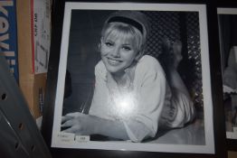 Brigette Bardot Framed Photo