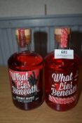 Two What Lies Beneath Gin Liqueurs 50cl