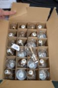 *24 Feit String Light Bulbs