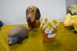 Hedgehog, Dog, and Two Hamsters